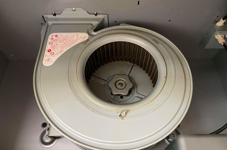 106099046_272296193987840_5543334346217611434_n