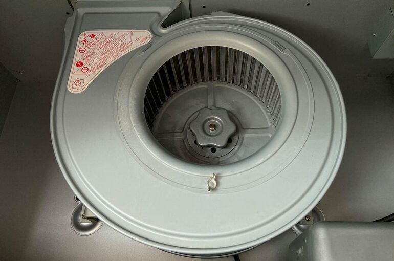 106335984_315715976105399_7388689424025315783_n