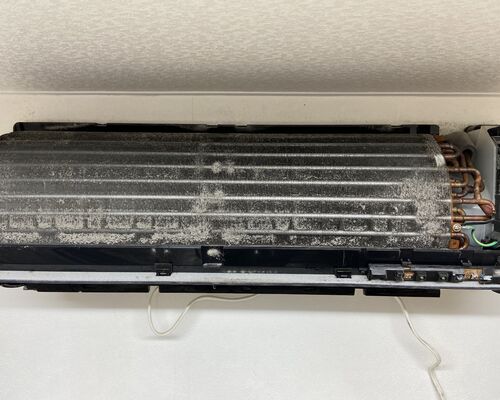 69D21A94-E3E4-49A5-8E37-6020B65058D5