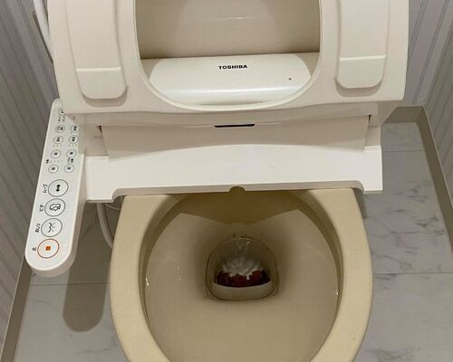 107454331_707060816519431_5071368225892542380_n