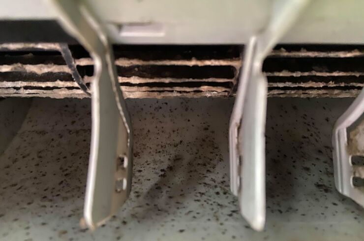 107539845_407969100090325_6468585986359903126_n